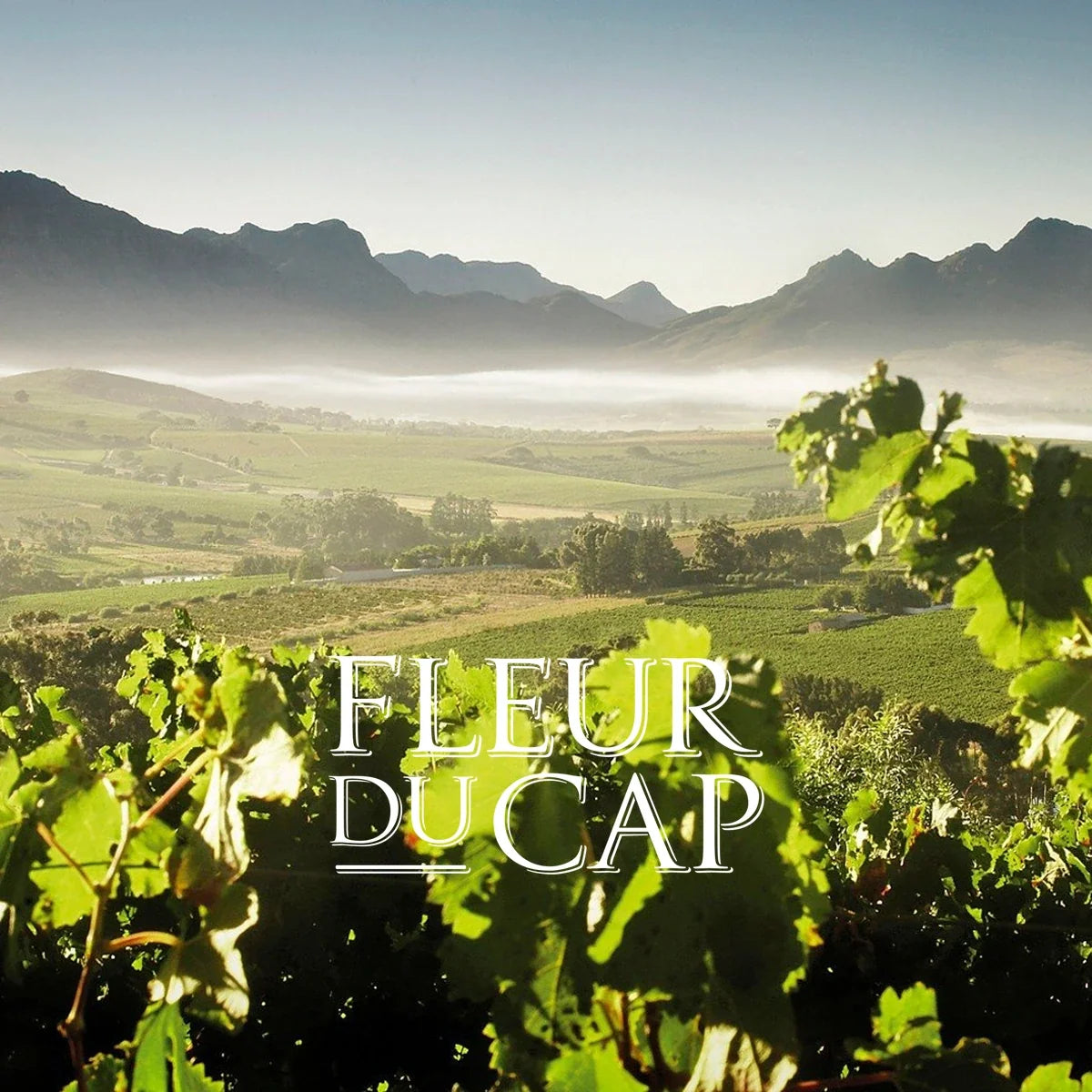 Fleur du Cap – sfeerfoto met officieel logo