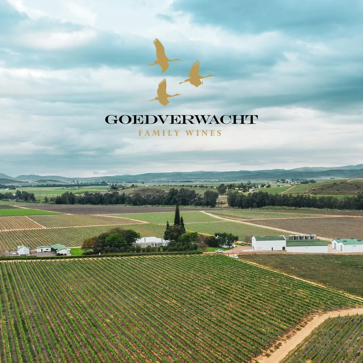 Goedverwacht | Perfecte Wijn