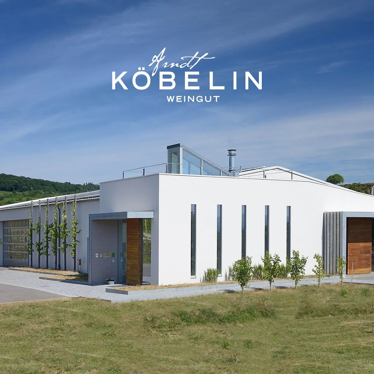 Weingut Kobelin met officieel logo
