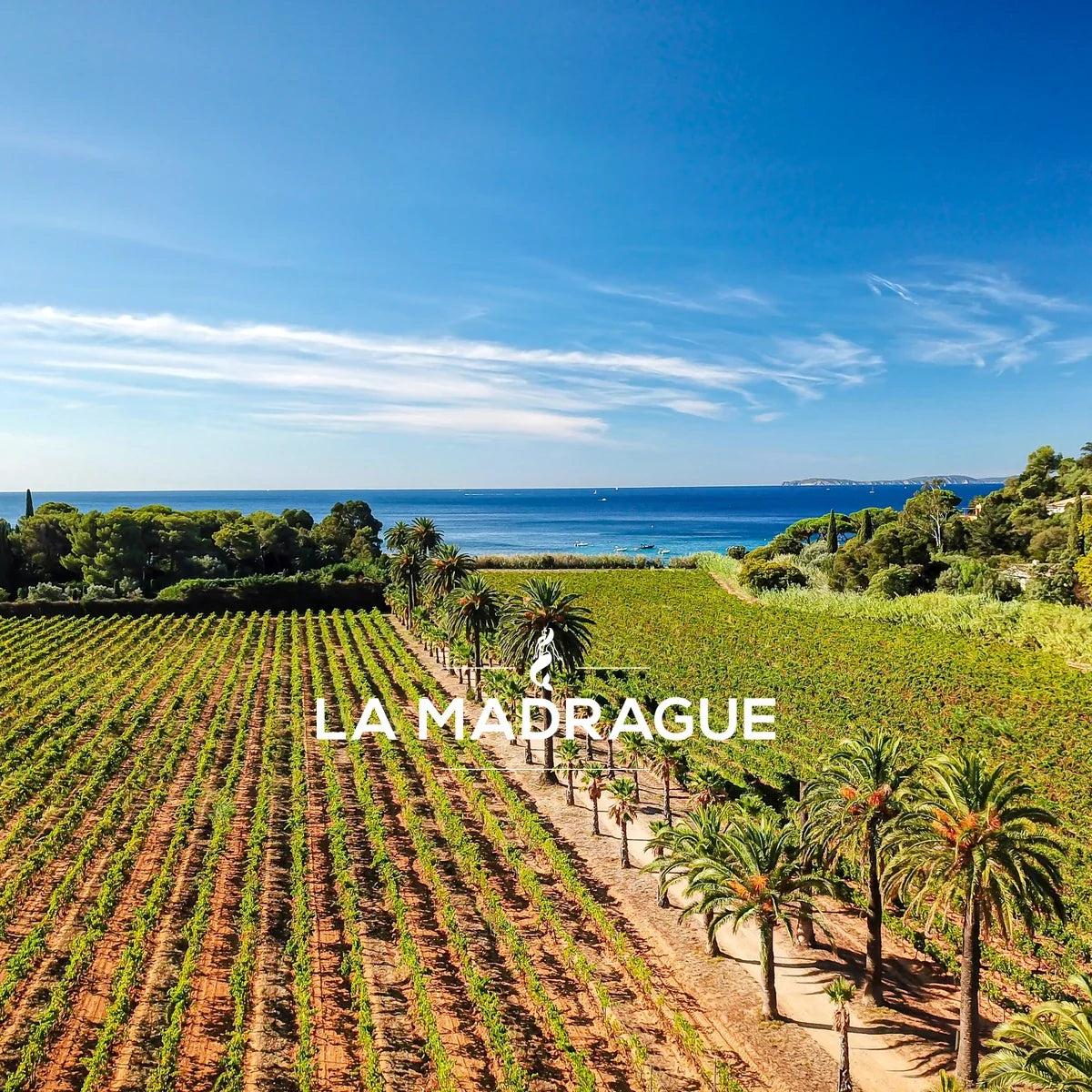 La Madrague – sfeerfoto met origineel logo