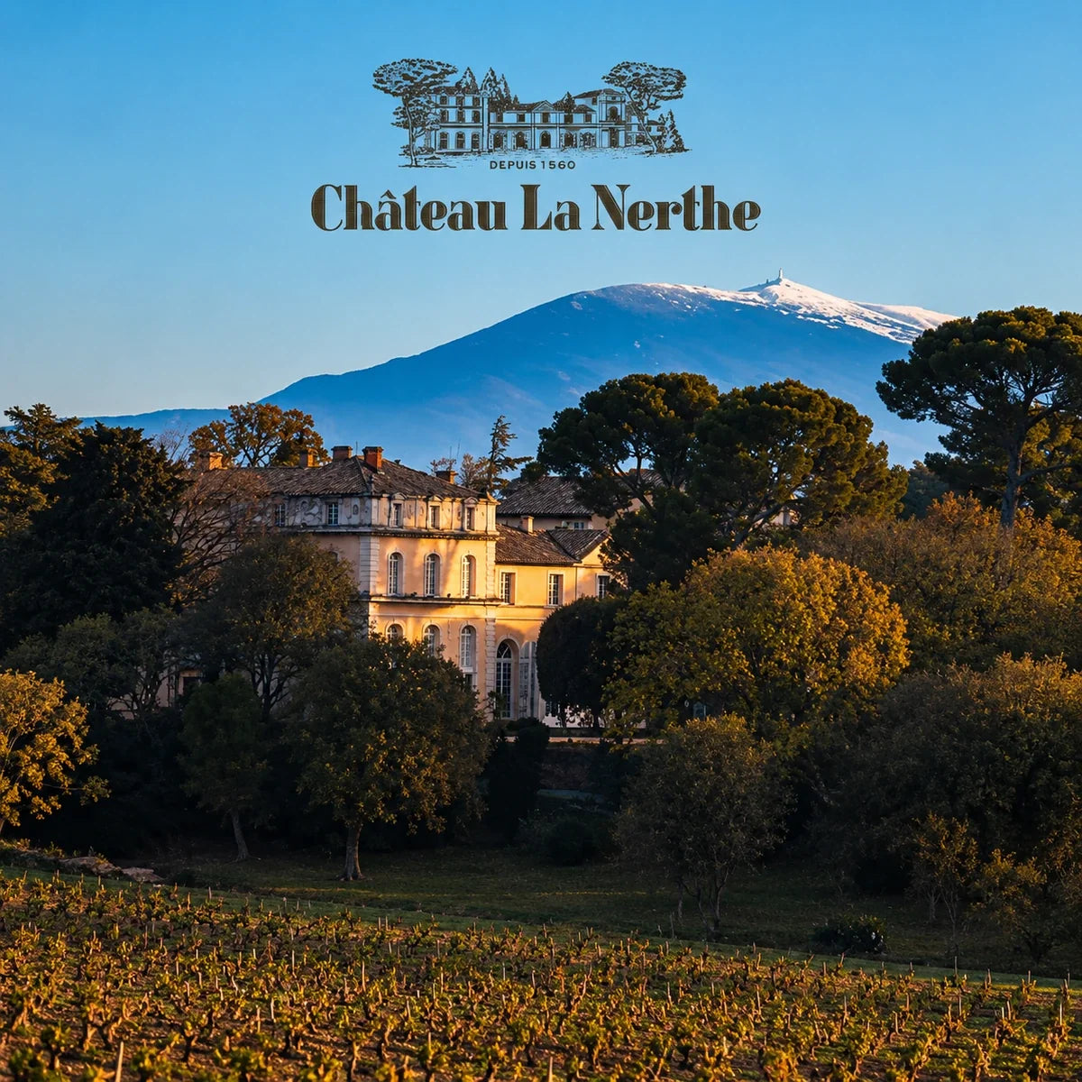 Château La Nerthe wijnhuis en logo