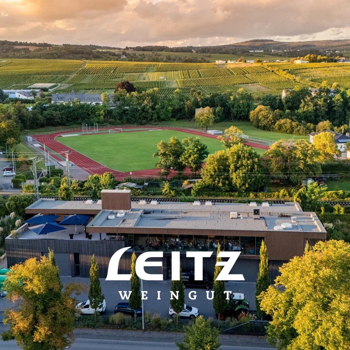 Weingut Leitz – sfeerfoto met officieel logo