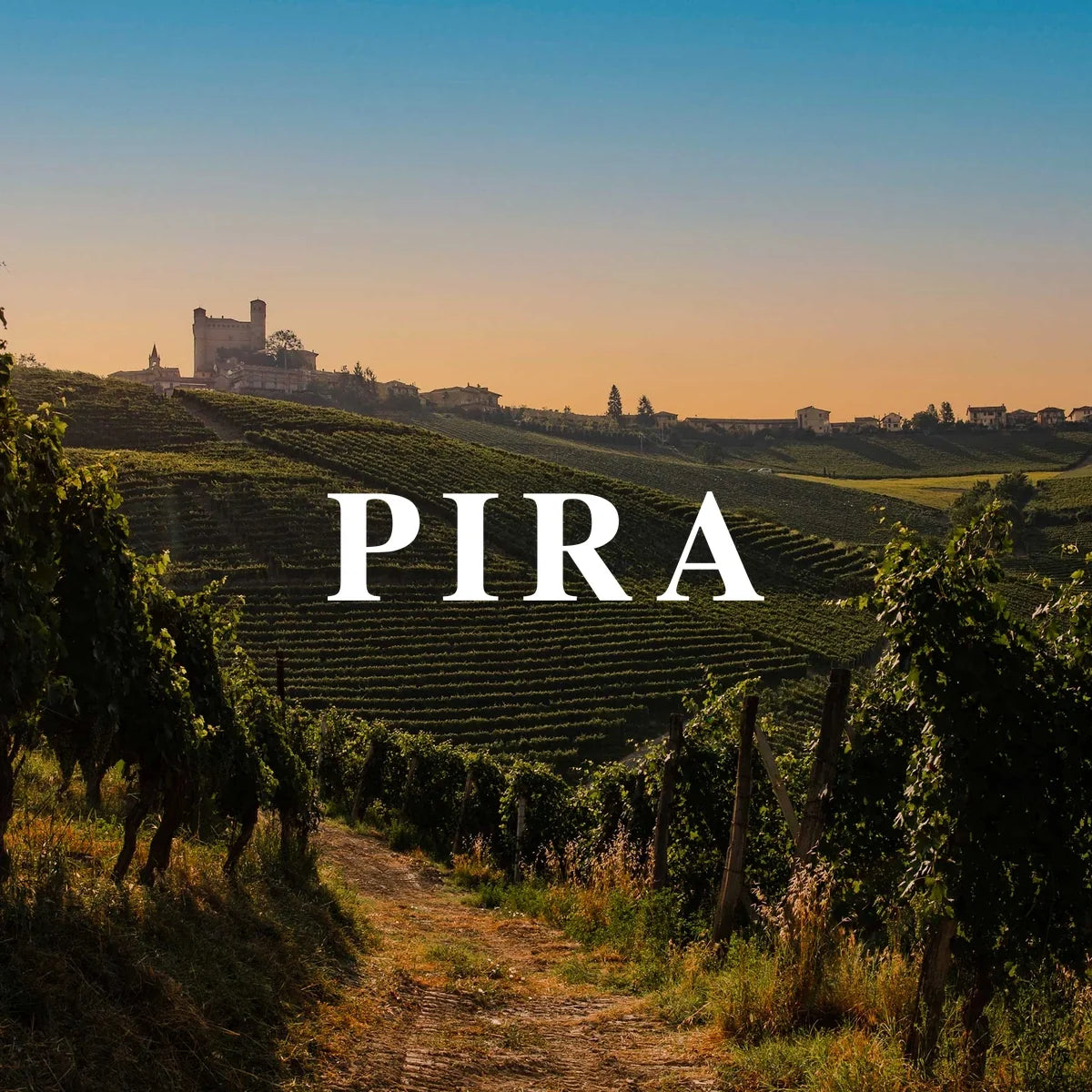 Luigi Pira | Perfecte Wijn