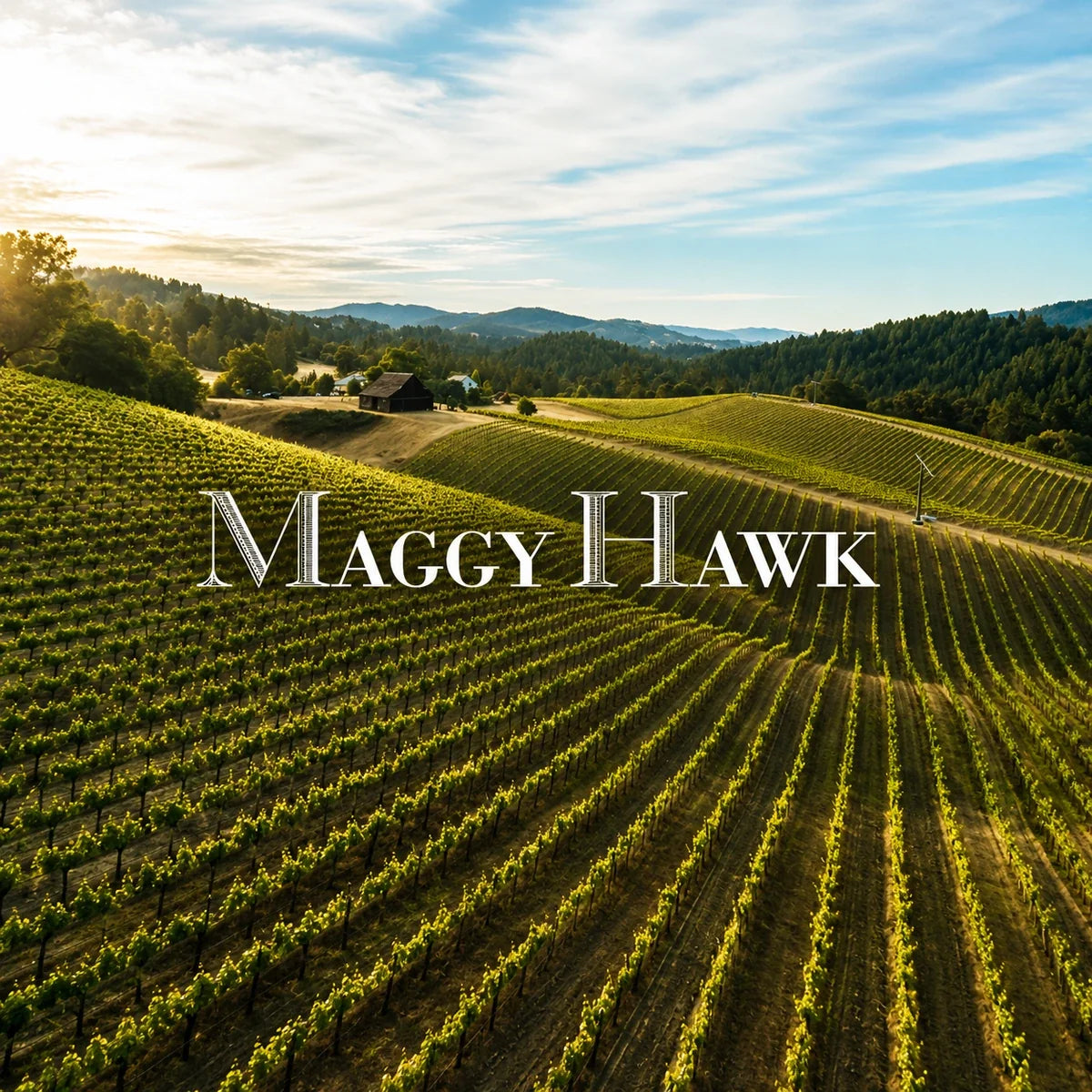 Maggy Hawk wijnhuis en logo