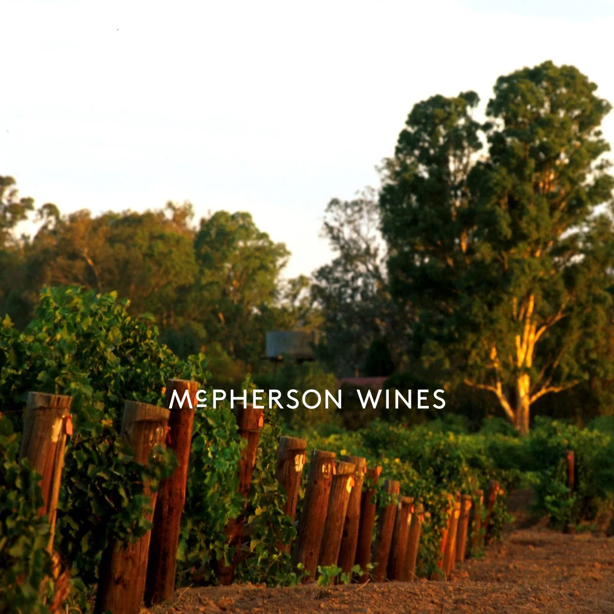 McPherson — sfeerfoto met logo
