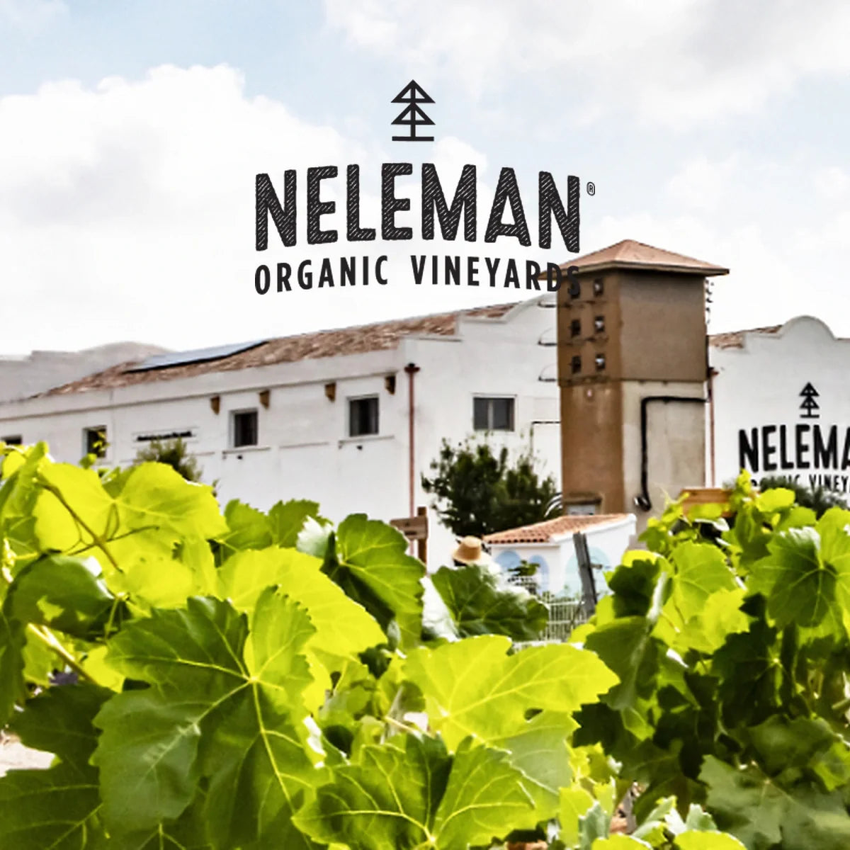 Bodegas Neleman | Perfecte Wijn