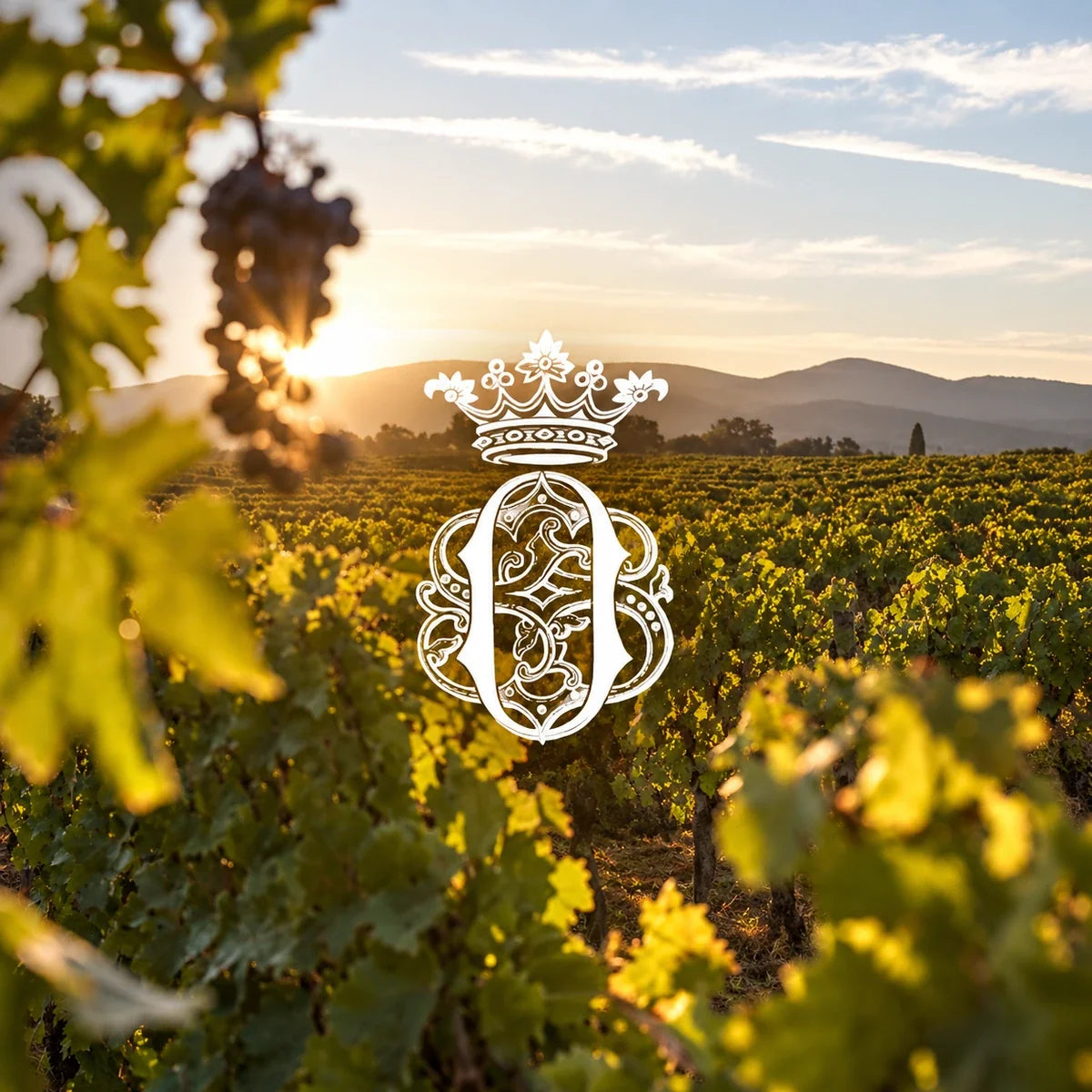 Tenuta dell Ornellaia wijnhuis en logo