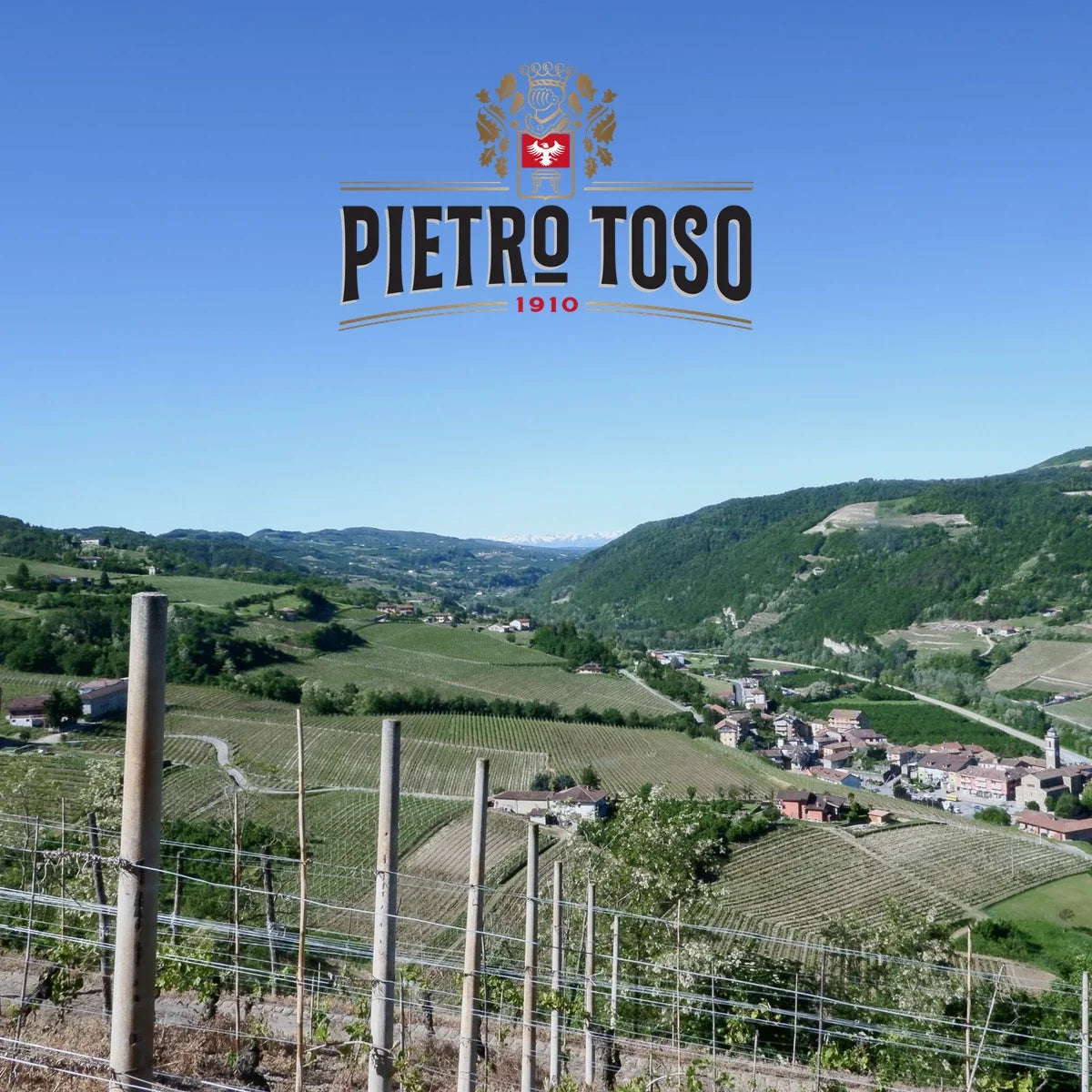 Pietro Toso – sfeerfoto met origineel logo