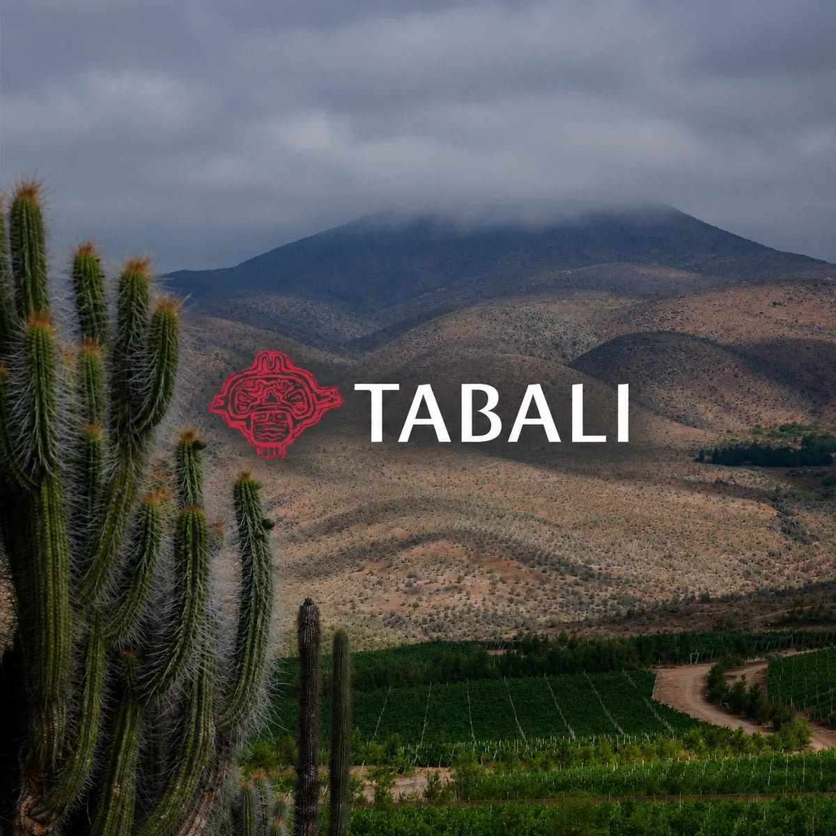 Tabalí wijnhuis en logo