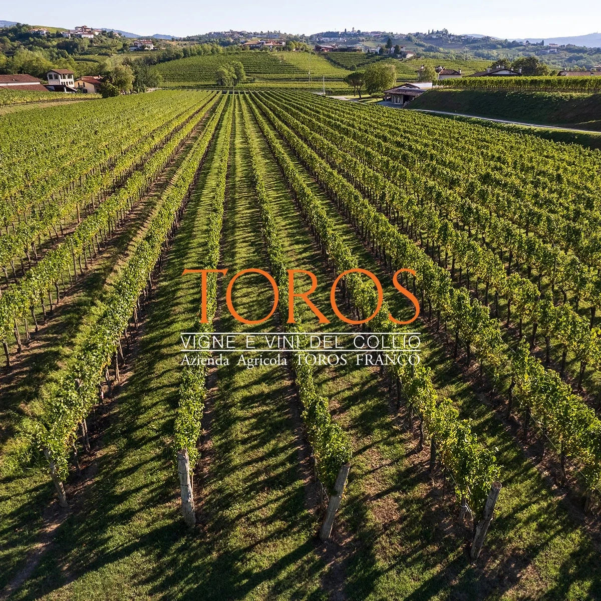 Toros – sfeerfoto met origineel logo