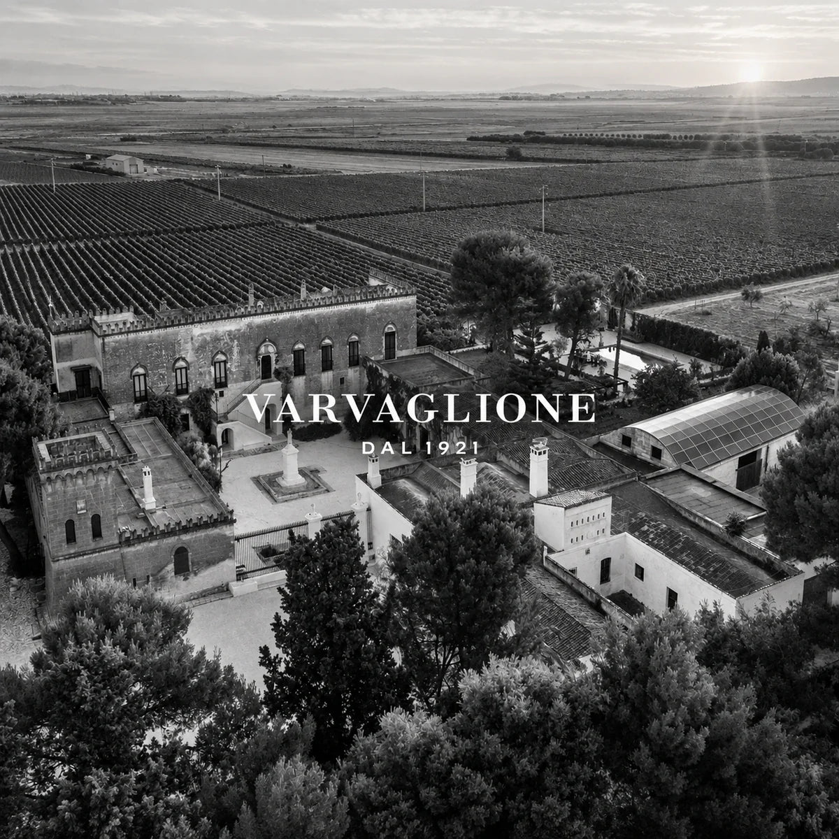 Varvaglione Vigne e Vini wijnhuis en logo