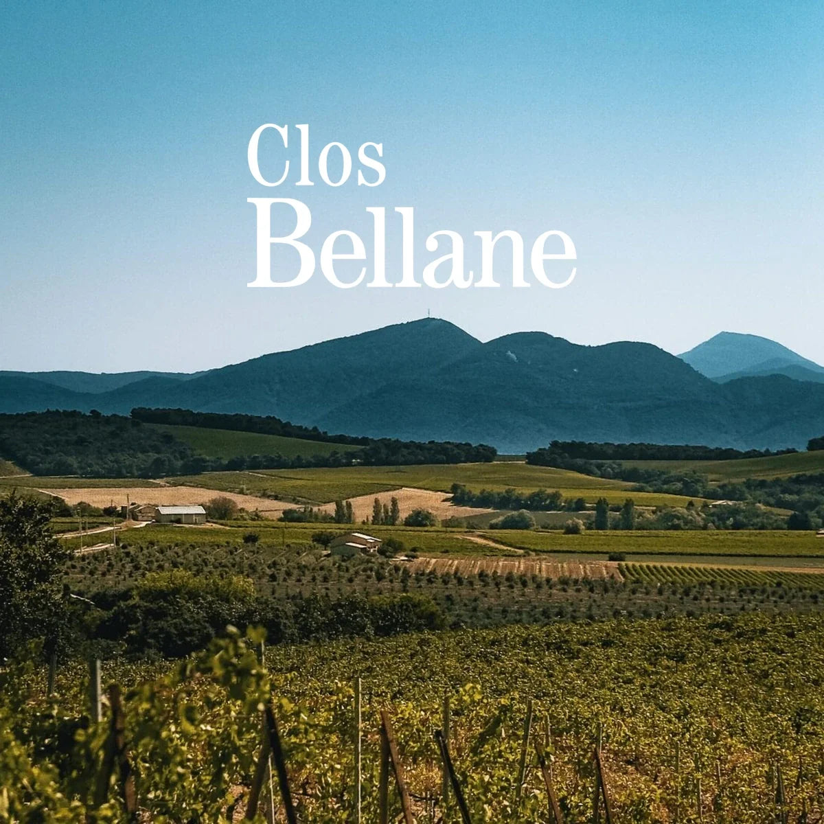 Clos Bellane sfeerfoto met logo