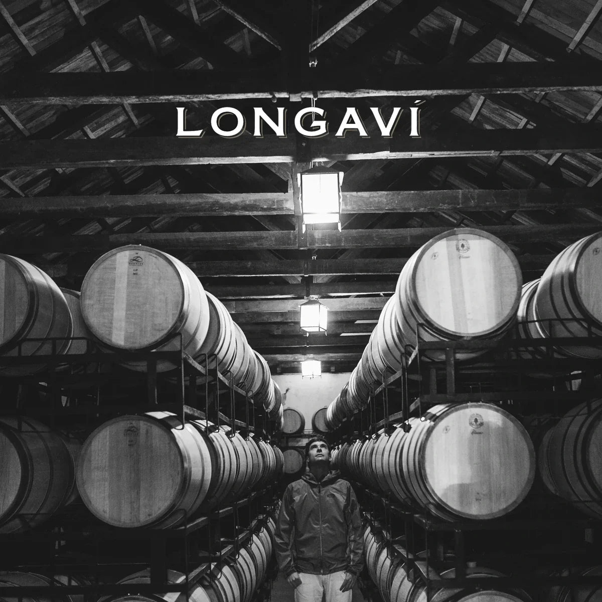 Longaví met officieel logo