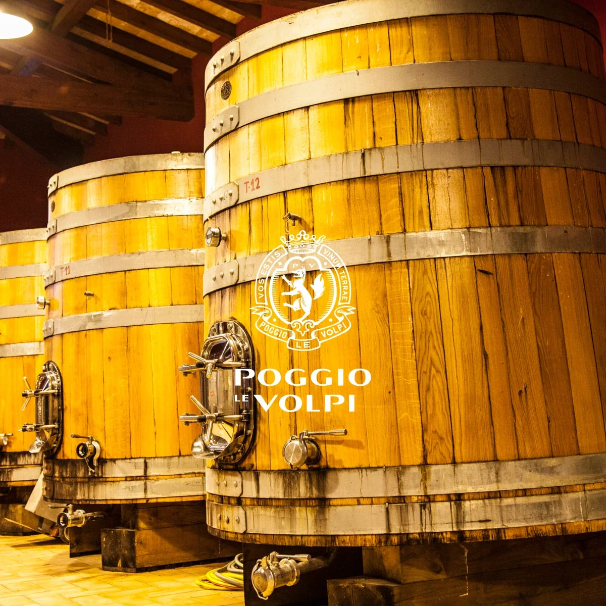 Poggio Le Volpi met officieel logo