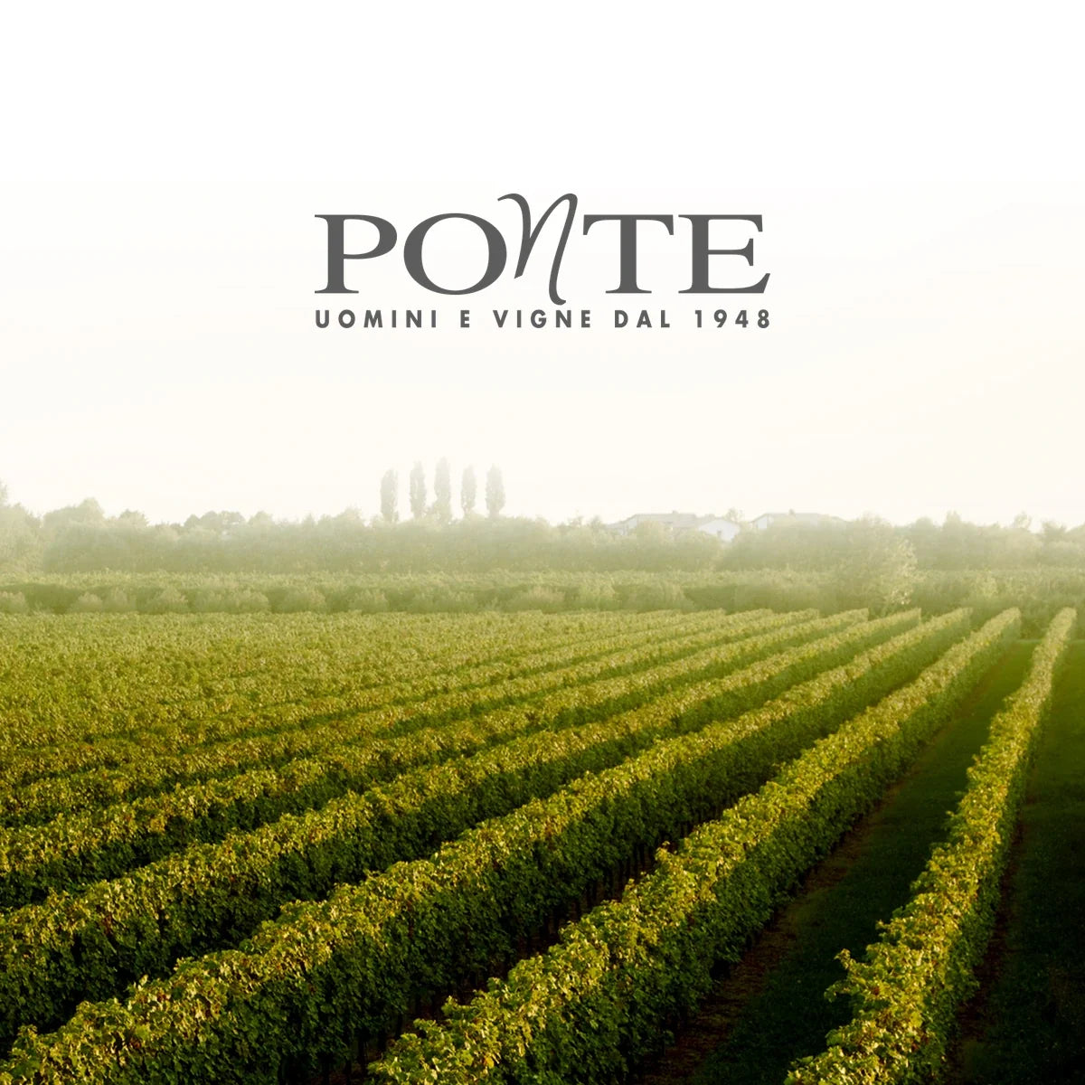 Ponte sfeerfoto met officieel logo