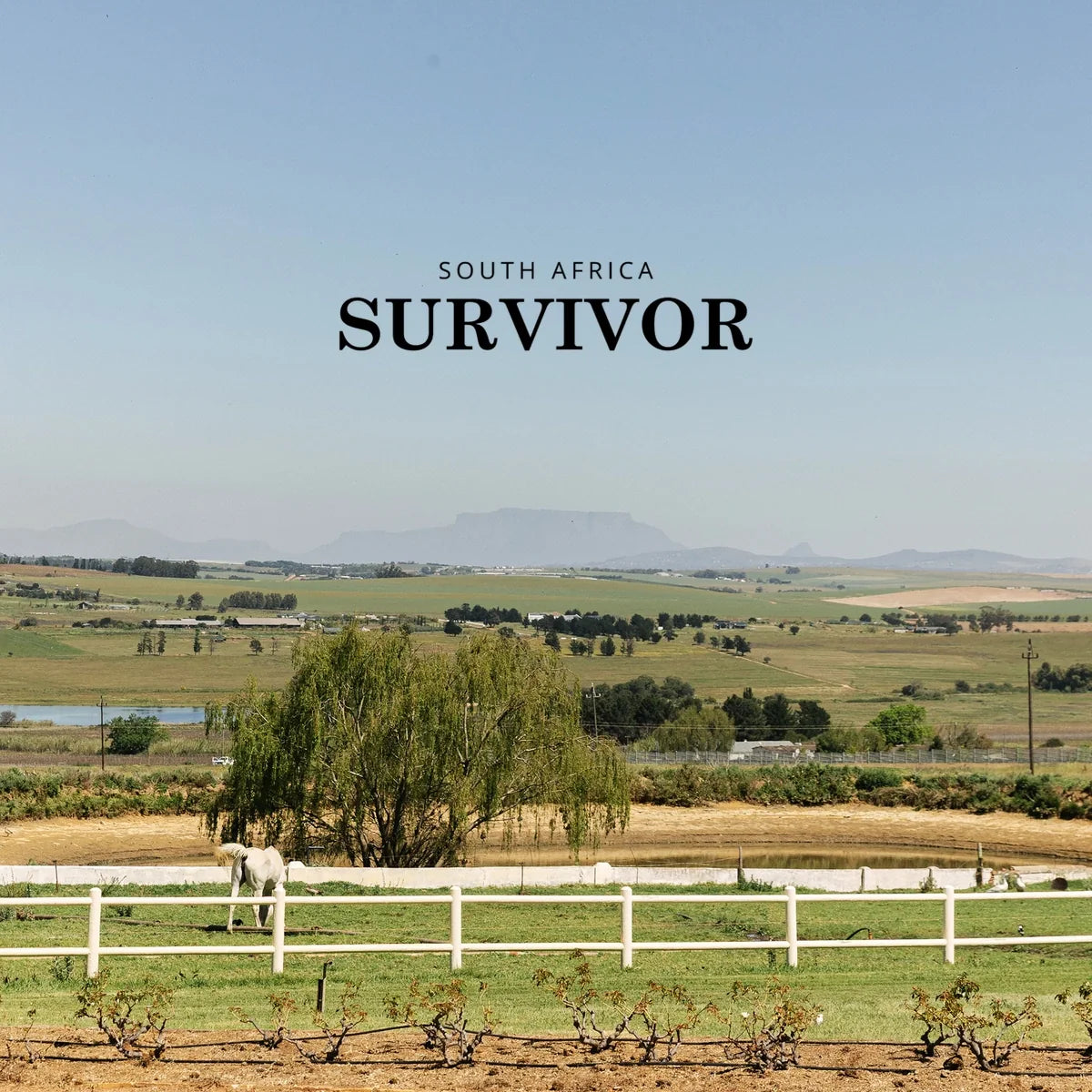 Survivor met officieel logo