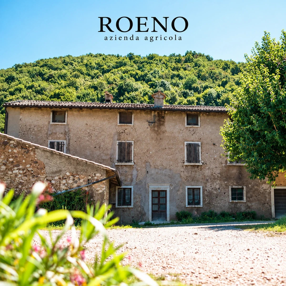 Roeno, sfeerfoto met logo