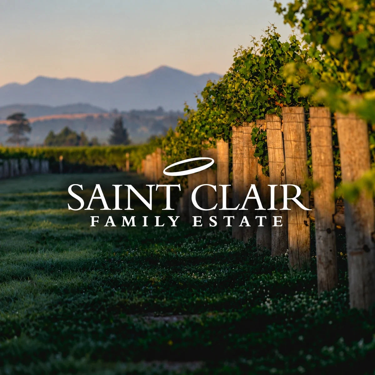 Saint Clair, sfeerfoto met logo