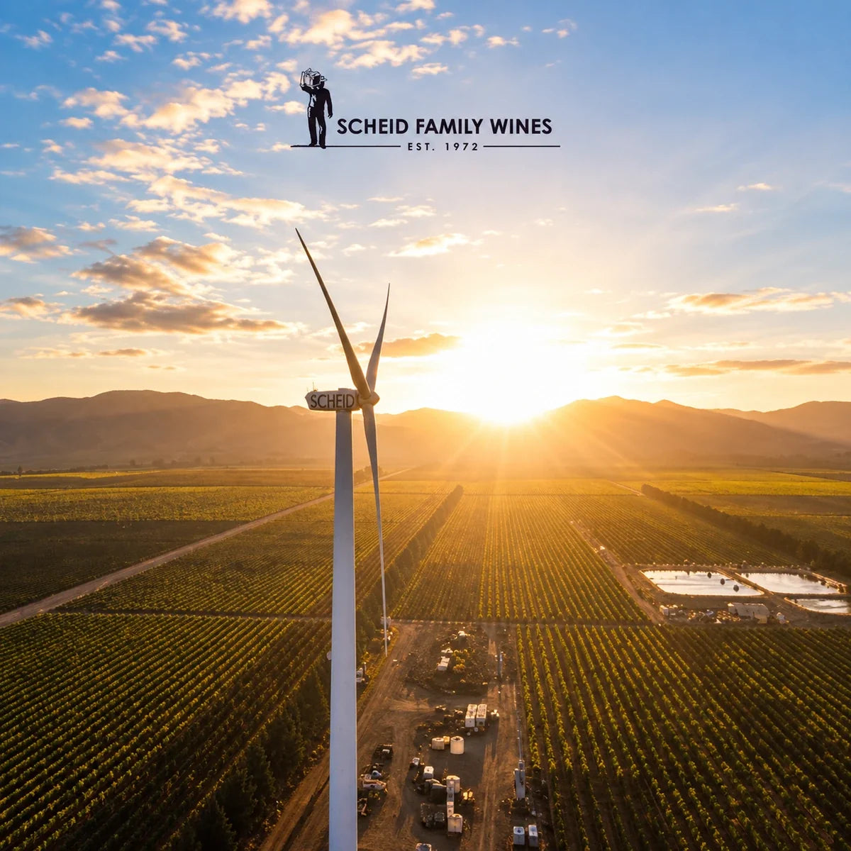 Scheid Family Wines, sfeerfoto met logo