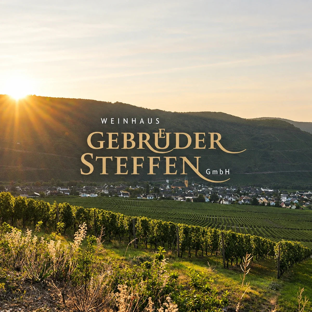 Gebruder Steffen, sfeerfoto met logo