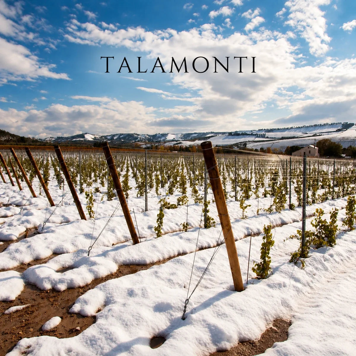 Talamonti, sfeerfoto met logo