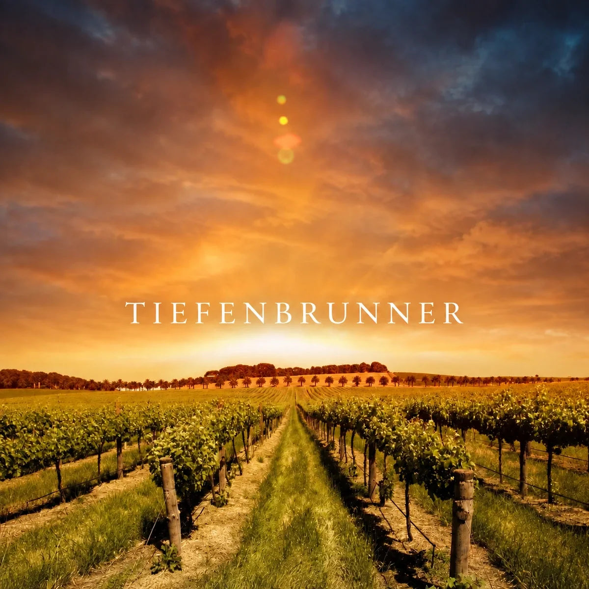 Tiefenbrunner, sfeerfoto met logo