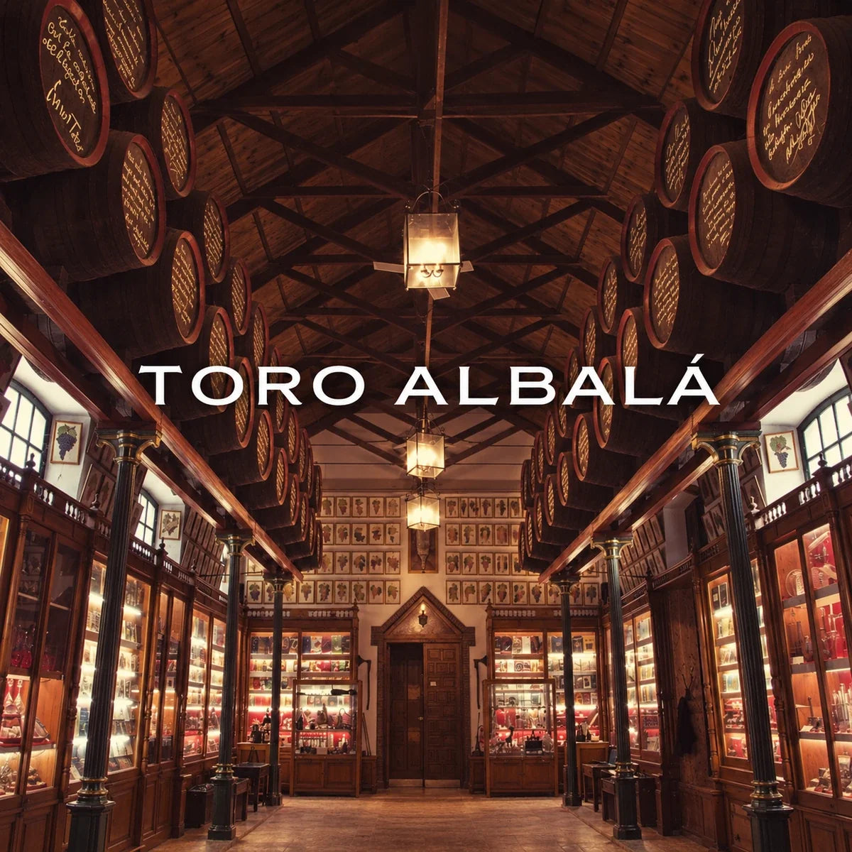 Bodegas Toro Albala, sfeerfoto met logo