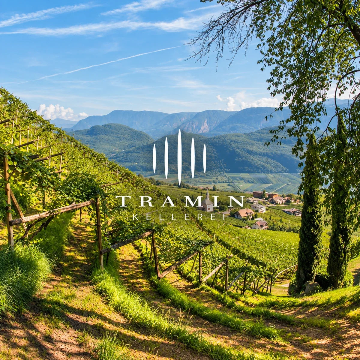 Tramin, sfeerfoto met logo