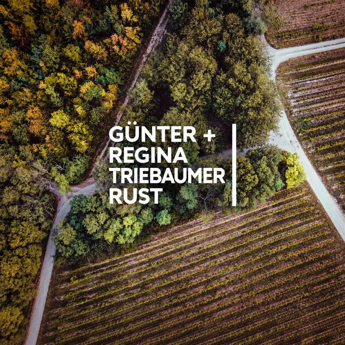 Weingut Triebaumer, sfeerfoto met logo
