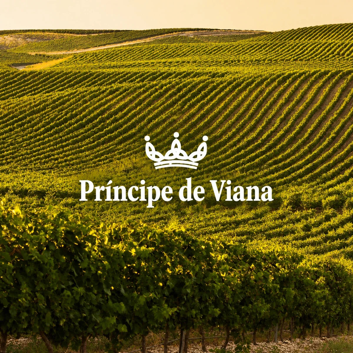 Bodegas Principe de Viana, sfeerfoto met logo