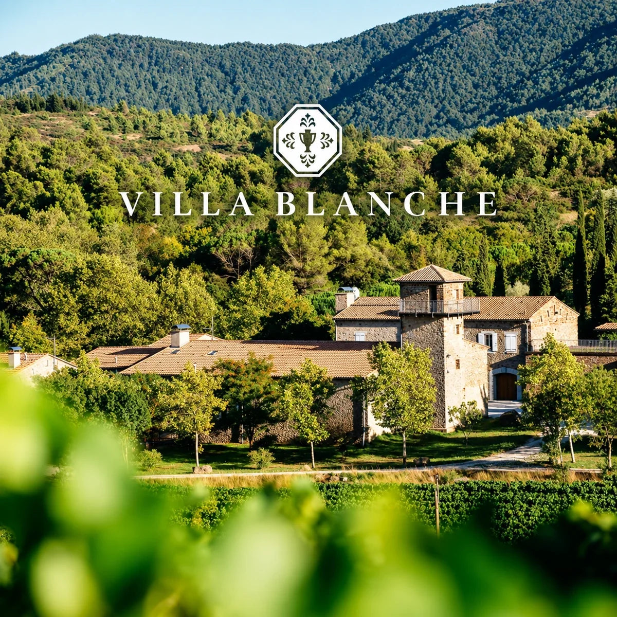 Villa Blanche, sfeerfoto met logo