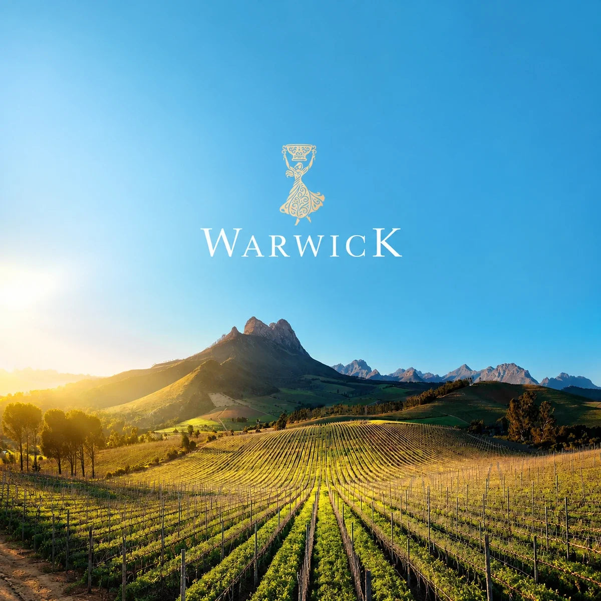 Warwick Wine Estate, sfeerfoto met logo