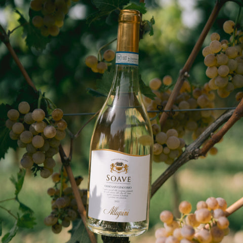 Allegrini Oasi San Giocomo Soave DOC
