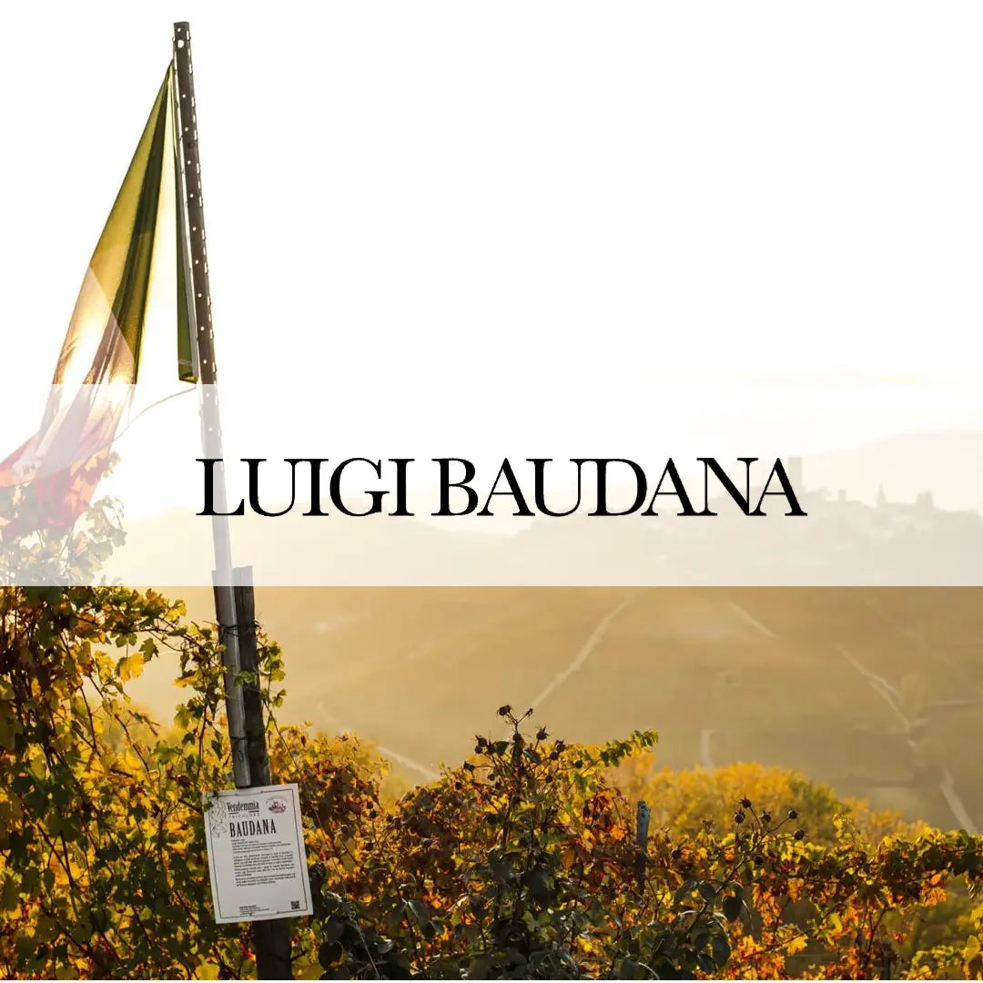 Image of the collection