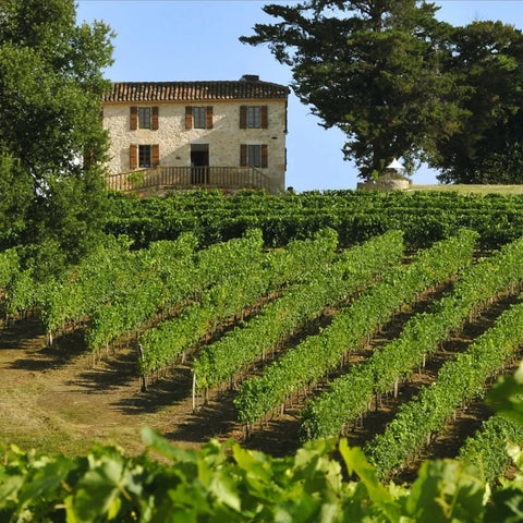 Domaine Guillaman Côtes de Gascogne Colombard Sauvignon