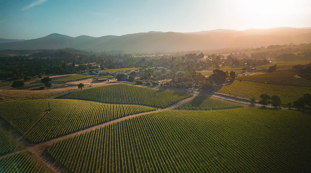 Image de la collection