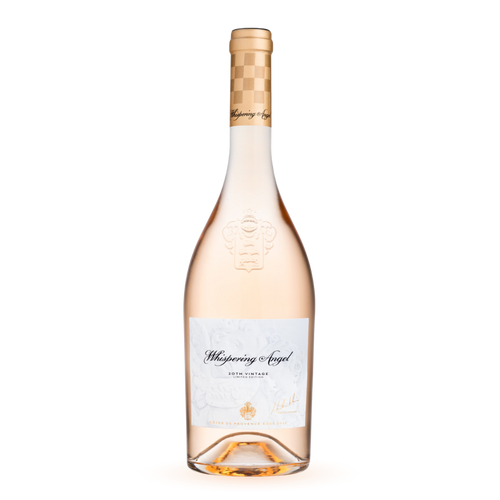 Rose Whispering Angel 2024