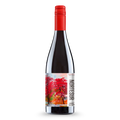 Punctum Nortesur Cabernet Sauvignon BIO