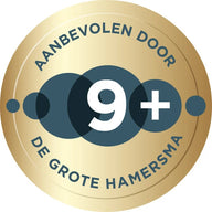9-de-grote-hamersma