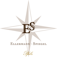 Ellermann Spiegel