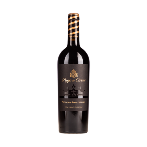 Pago de Cirsus Seleccionada Navarre Vendimia