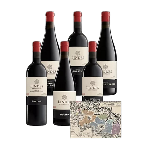 Remelluri Lindes de Remelluri Limited Edition Case