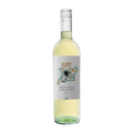 Rubé Pinot Grigio Terre Di Chieti