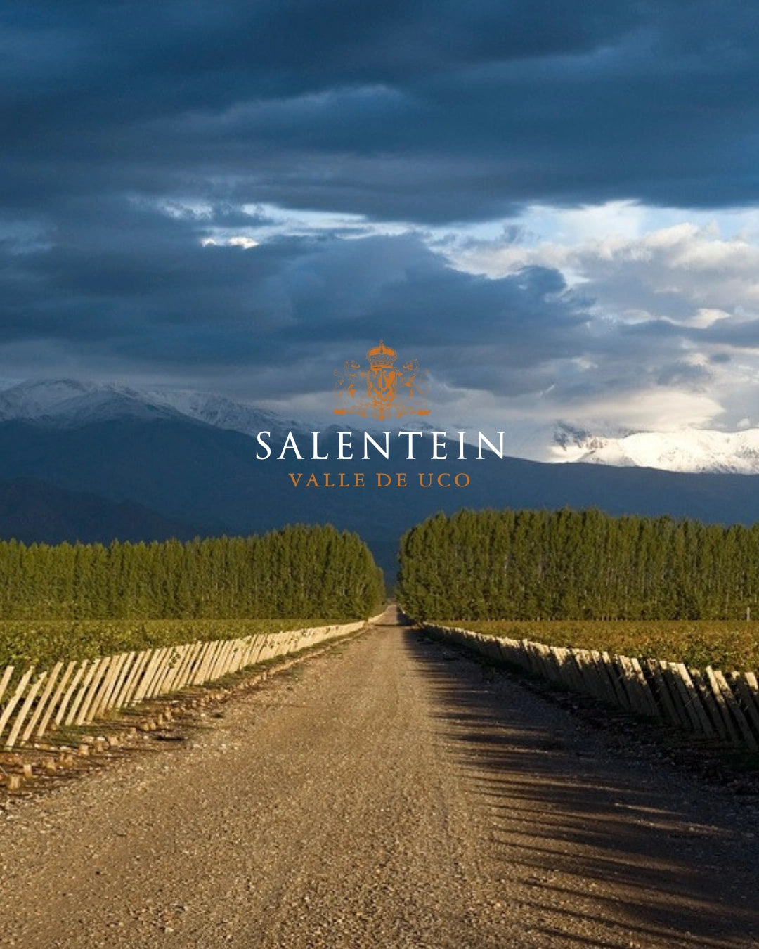 Image de la collection