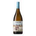 Survivor Terroir Chenin Blanc