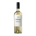 Tabali Pedregoso Gran Reserva Sauvignon Blanc