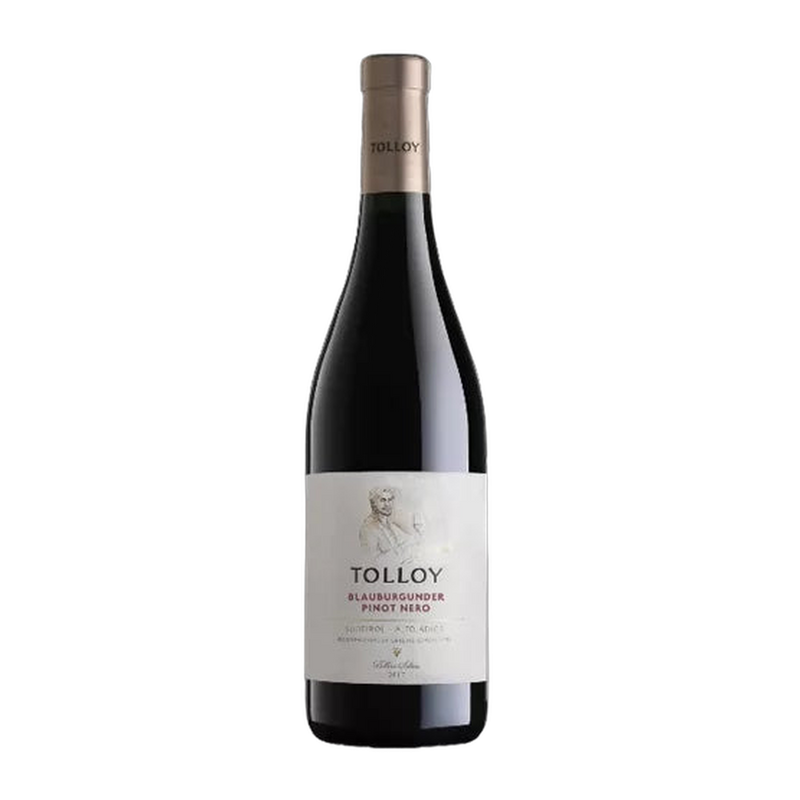 Tolloy Blauburgunder Pinot Nero